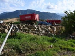 Blitz a Capaccio Paestum: sequestrato allevamento bufalino da 20mila metri quadrati